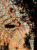 2003luminarie02_thumb.png