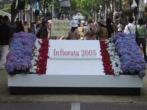 2005infiorata01.jpg