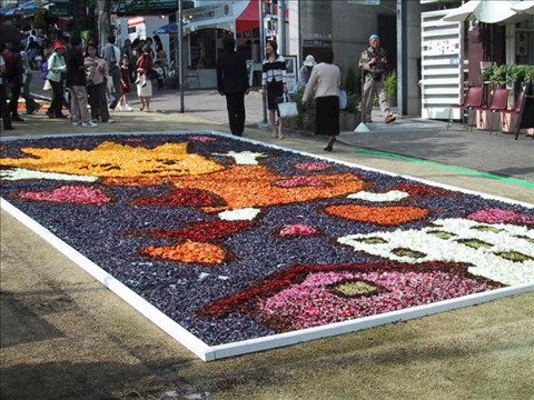2005infiorata05.jpg